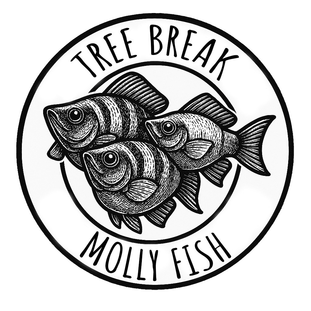 1.Molly (ปลาบอลลูน)